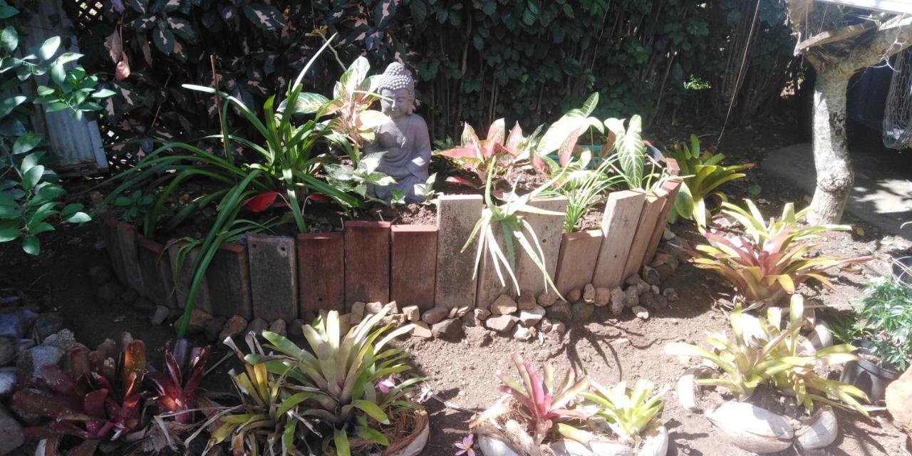 波拉波拉Tiki House别墅 外观 照片