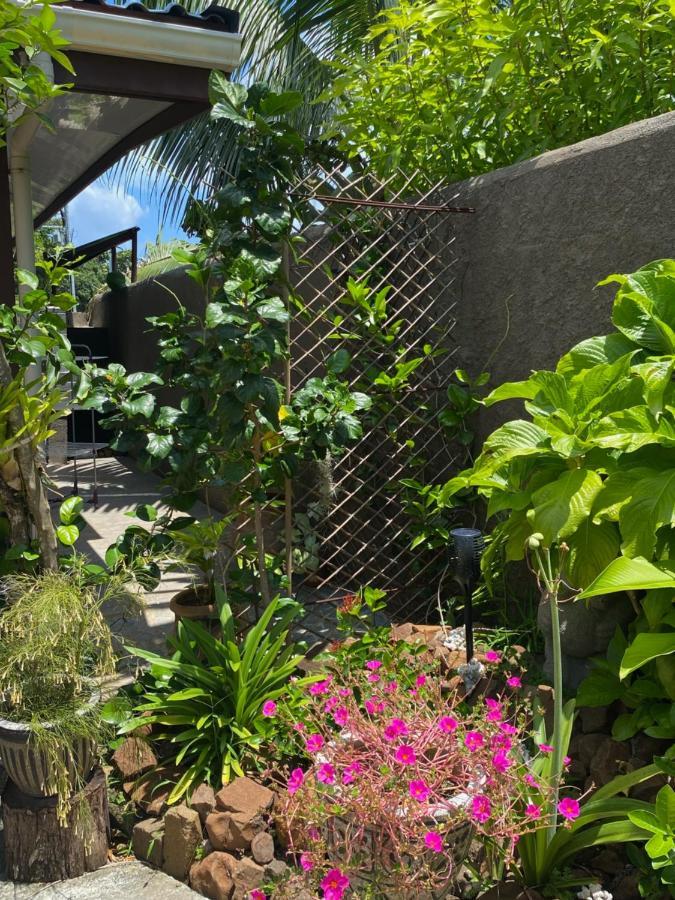 波拉波拉Tiki House别墅 外观 照片