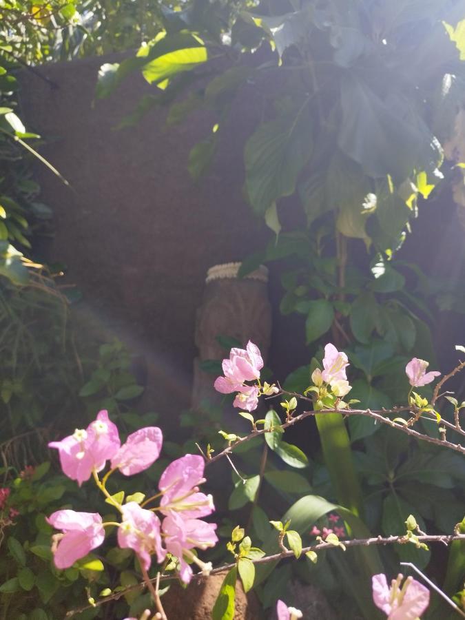 波拉波拉Tiki House别墅 外观 照片
